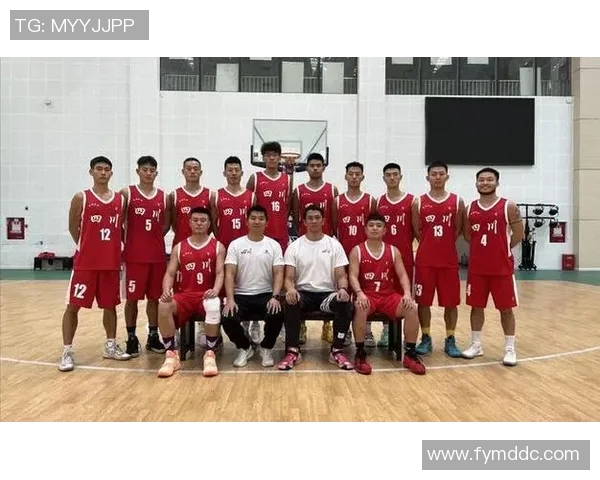 独家深度解析成都篮球队各队员实力对比与战术优势分析