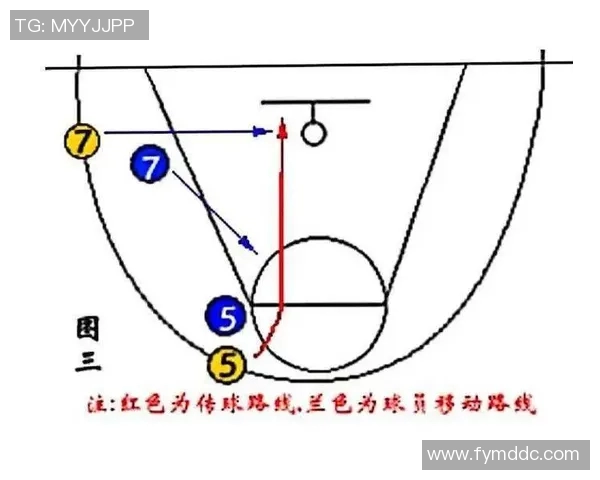 深入分析北京排球队快攻战术的特点与优势