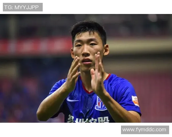 中国足球的未来之星:那些曾赴中国的国际足球巨星们 中国足球的未来之星:那些曾赴中国的国际足球巨星们