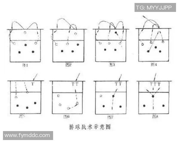 北京排球队在邀请赛中的战术运用与表现分析