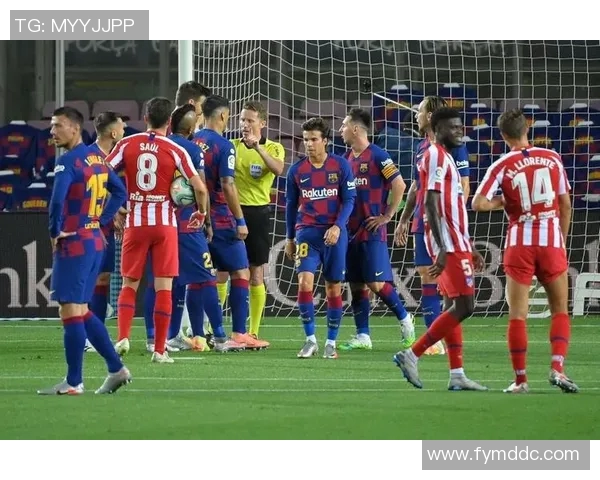 南京排球队与北京排球队速度对决的赛后分析与总结