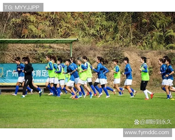 在绿茵场上亲吻草地的足球明星们的奋斗与荣耀