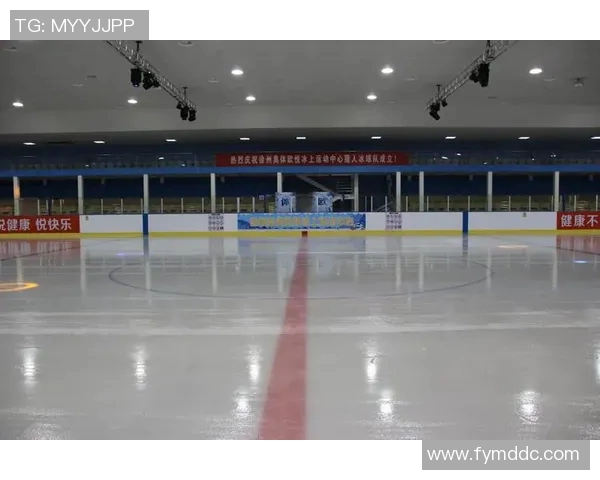 深入探讨北京网球队的技术表现与数据分析结果的综合评估